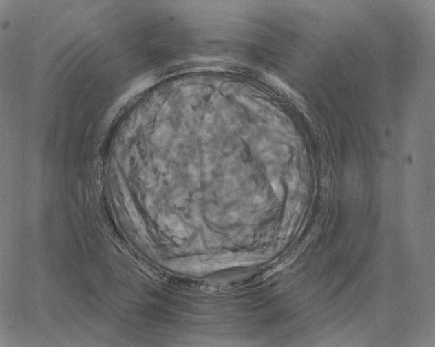 X0000062621411200601181643