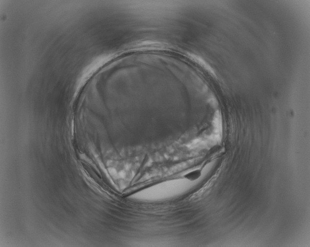 X0000062621413200601181643