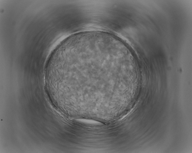 X0000062621415200601181643