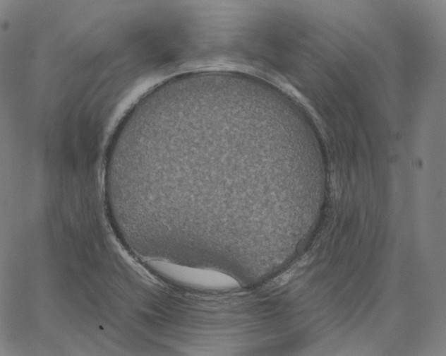 X0000062621416200601181643