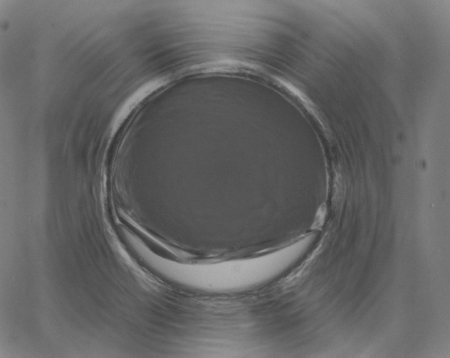 X0000062621418200601181643