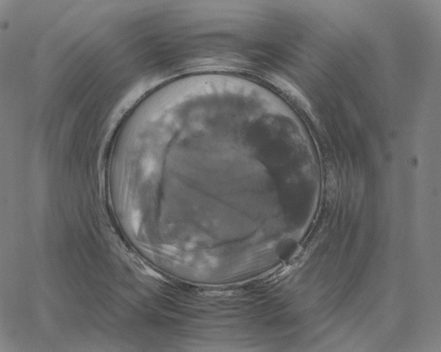 X0000062621419200601181643