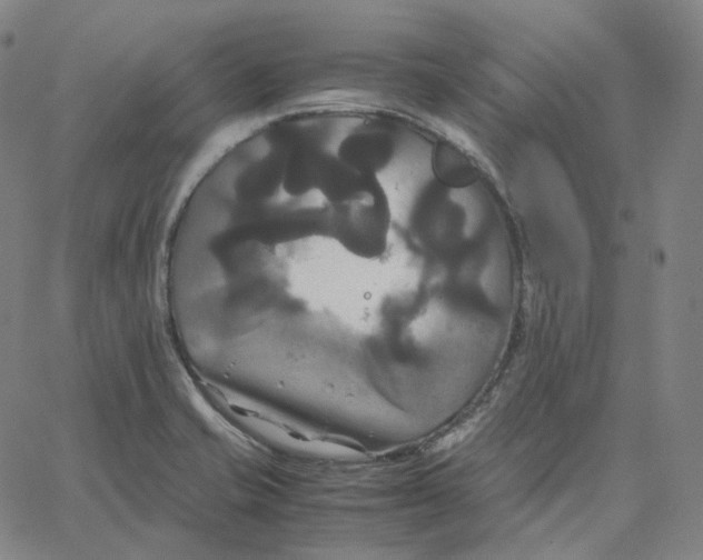 X0000062621421200601181643