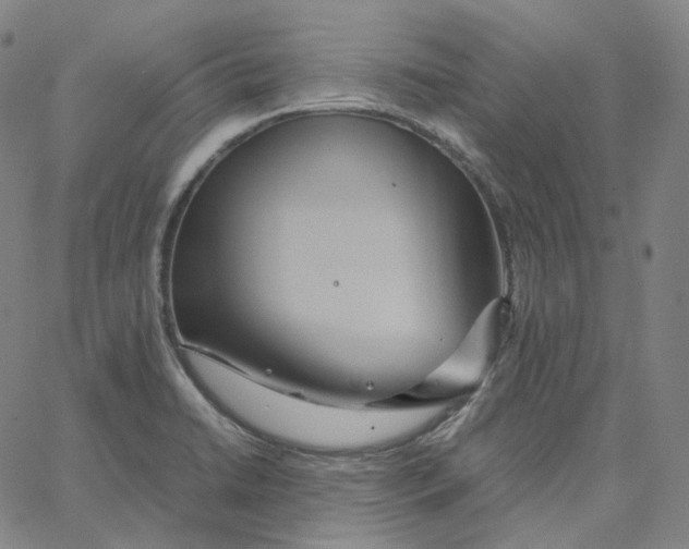 X0000062621422200601181643