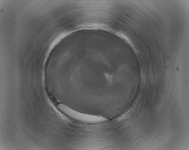 X0000062621424200601181643