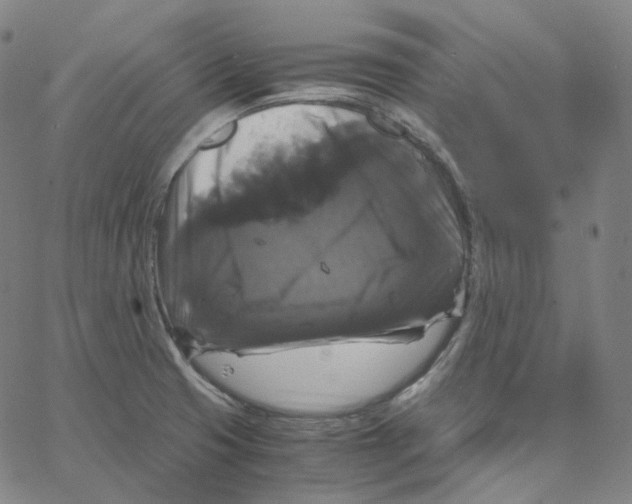 X0000062621425200601181643