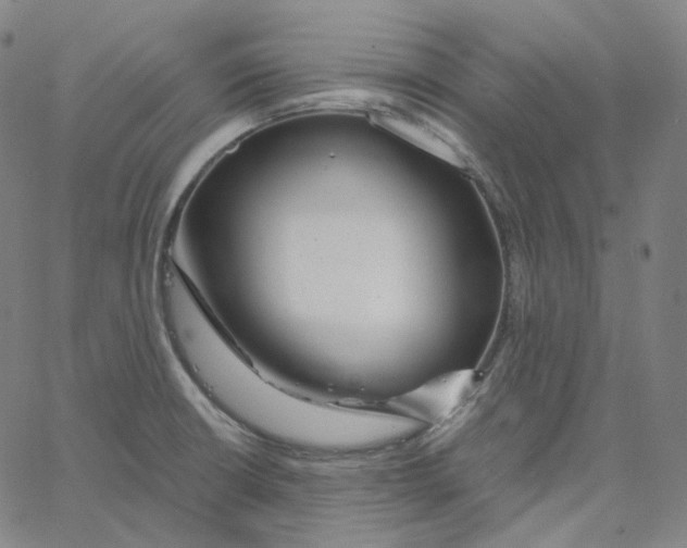 X0000062621426200601181643