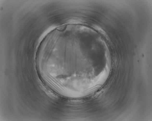 X0000062621427200601181643