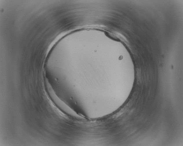 X0000062621428200601181643