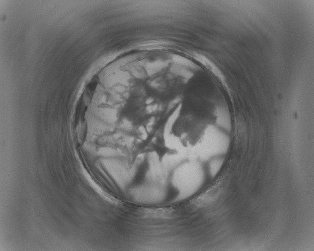 X0000062621429200601181643