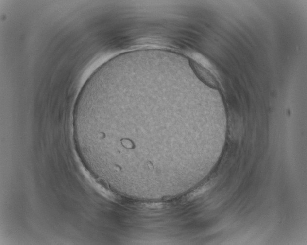 X0000062621431200601181643