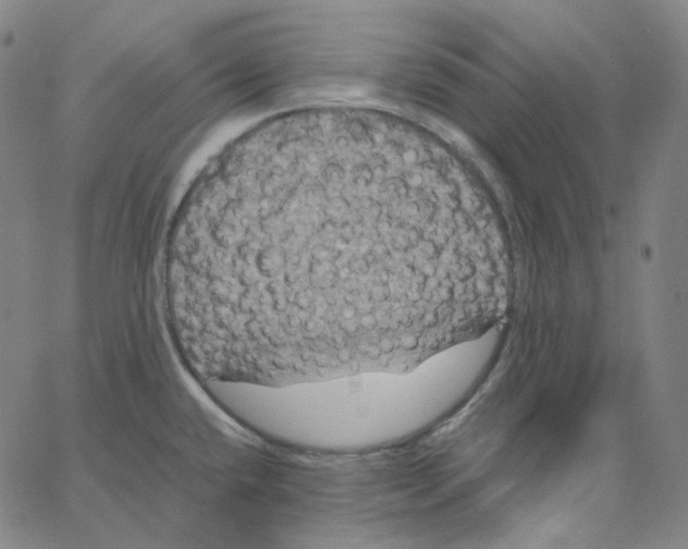 X0000062621432200601181643