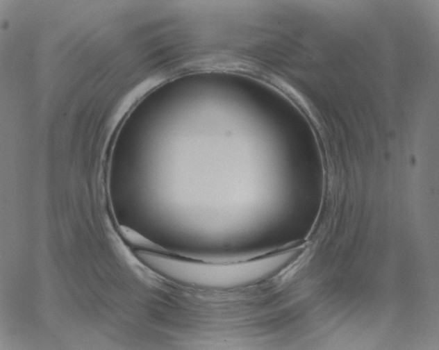 X0000062621434200601181643