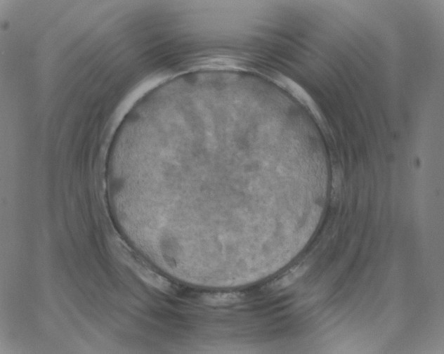 X0000062621435200601181643