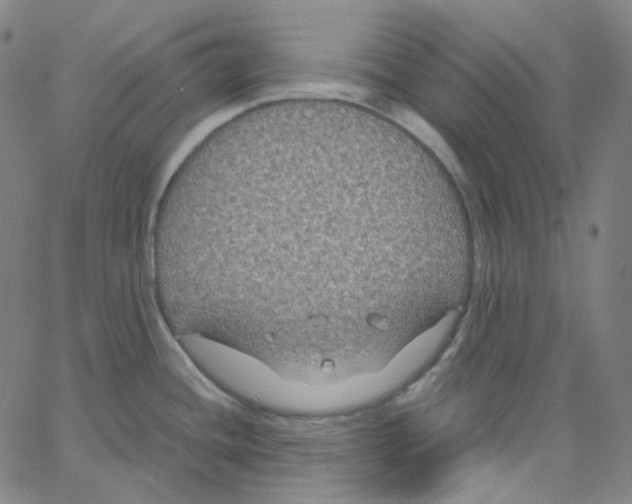 X0000062621436200601181643