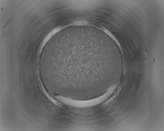 X0000062621437200601181643