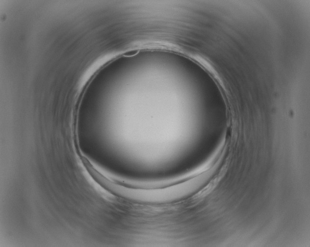 X0000062621438200601181643