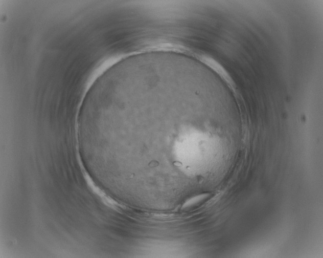 X0000062621439200601181643