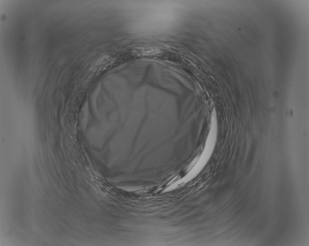 X0000062621441200601181643