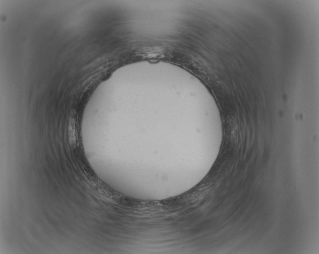 X0000062621442200601181643