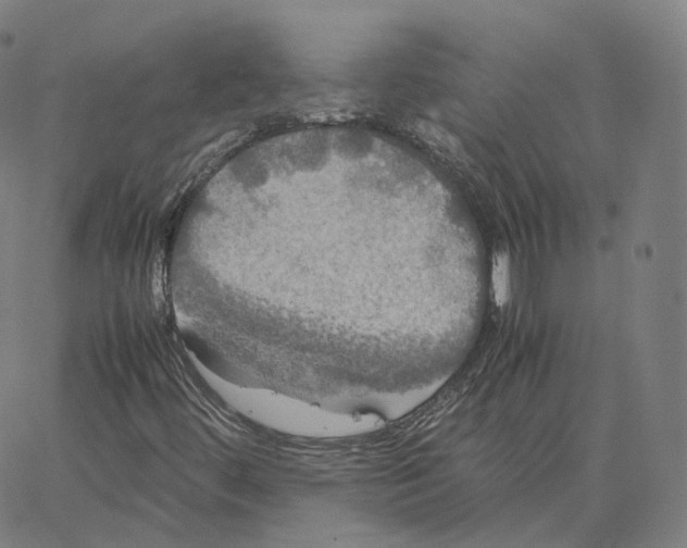 X0000062621444200601181643