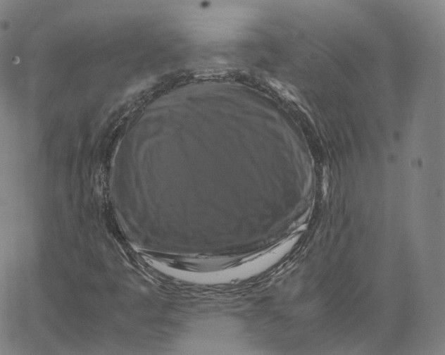 X0000062621445200601181643