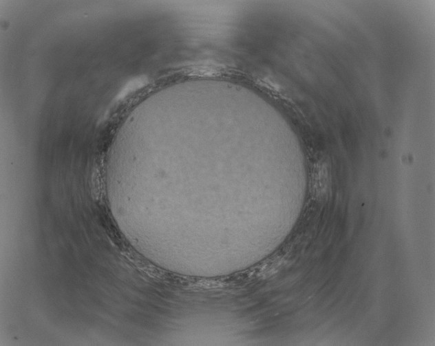 X0000062621446200601181643