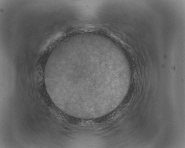 X0000062621447200601181643