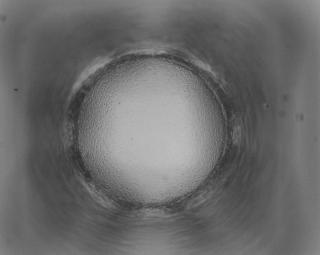 X0000062621448200601181642