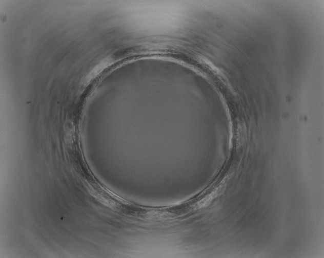 X0000062621449200601181642