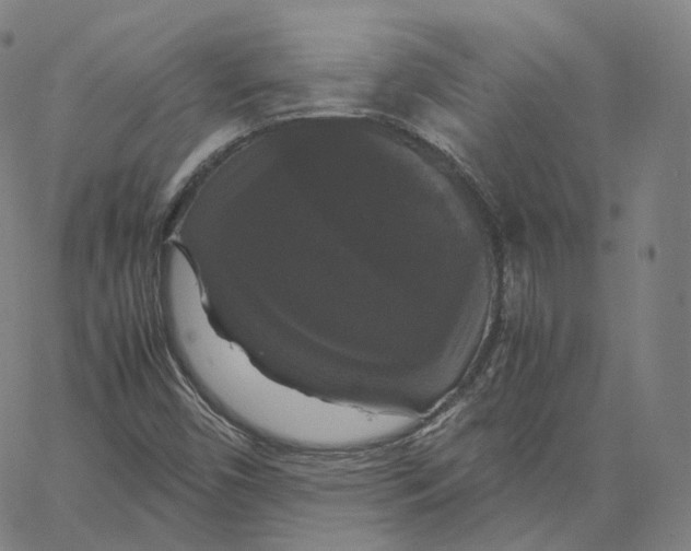 X0000062621450200601181642