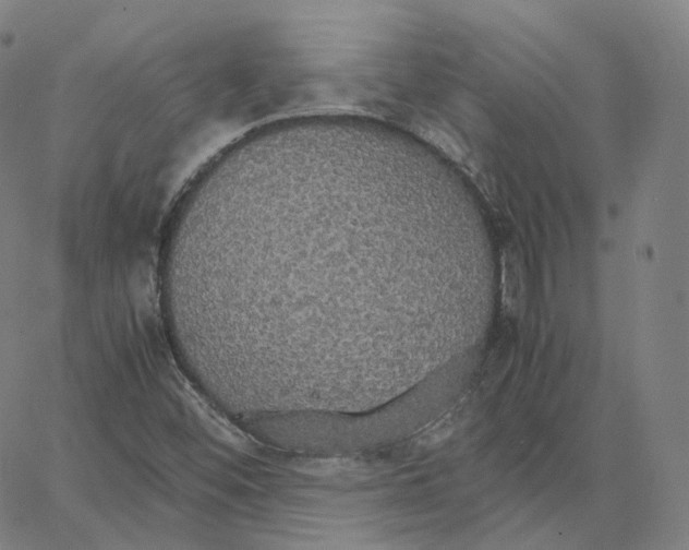 X0000062621452200601181642