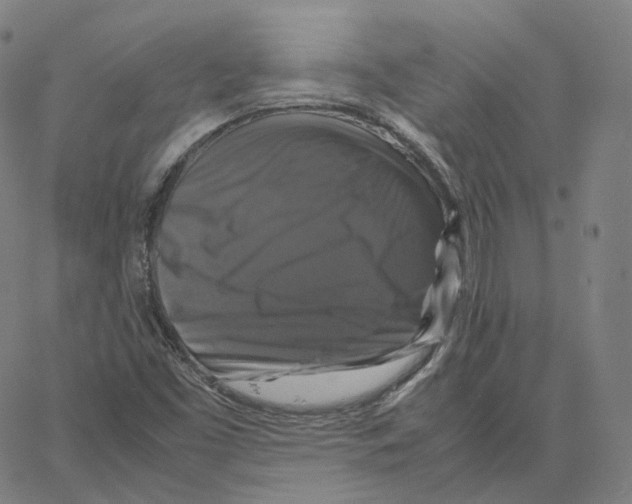 X0000062621453200601181642