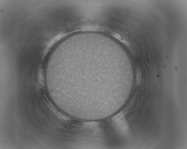 X0000062621454200601181642