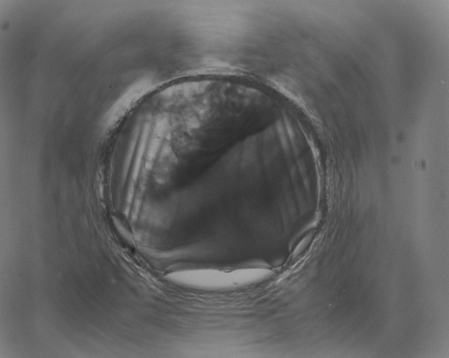 X0000062621455200601181642