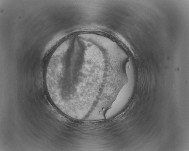 X0000062621456200601181642