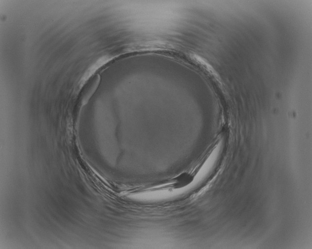 X0000062621457200601181642