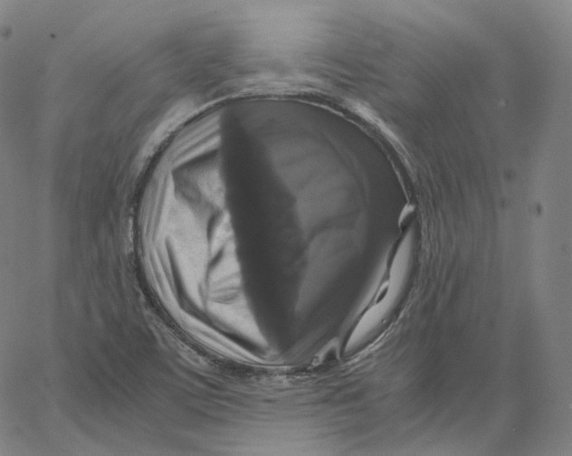 X0000062621459200601181642