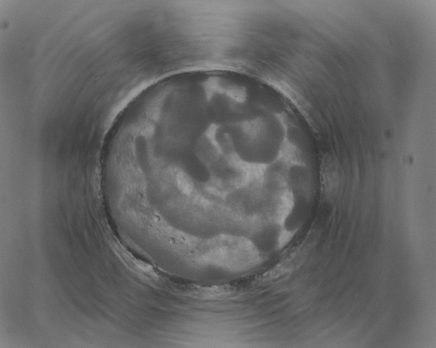 X0000062621460200601181642