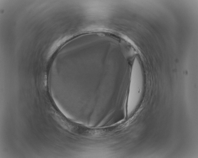 X0000062621461200601181642