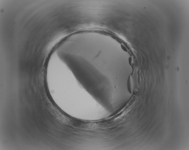 X0000062621463200601181642