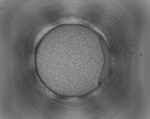 X0000062621464200601181642