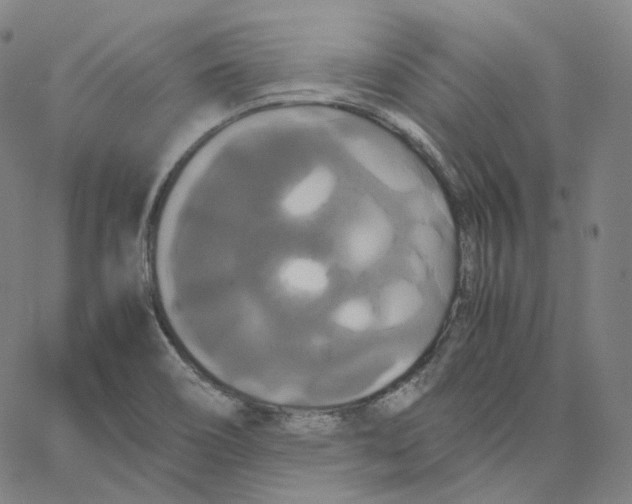 X0000062621466200601181642