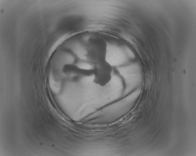 X0000062621467200601181642