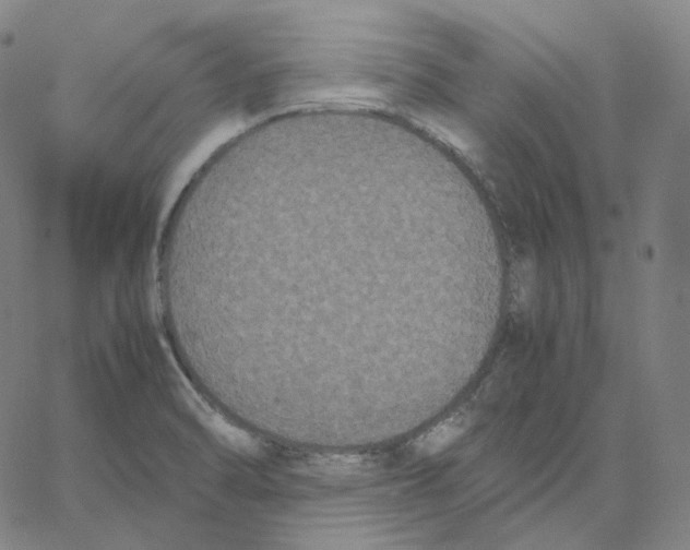 X0000062621470200601181642