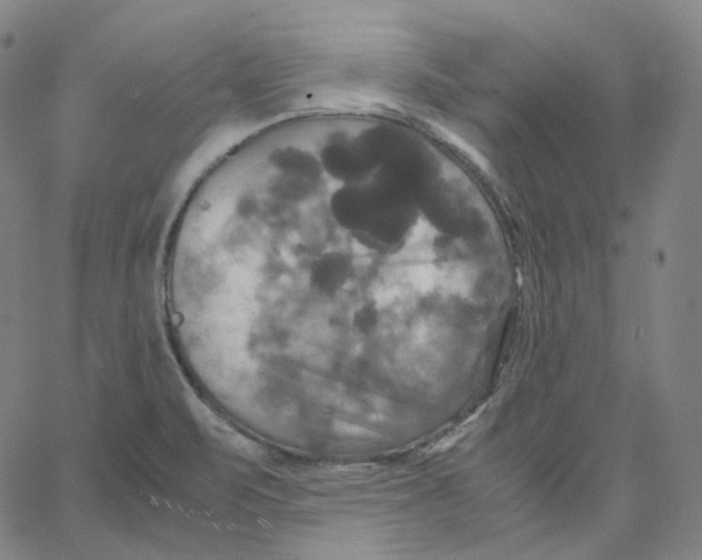 X0000062621471200601181642