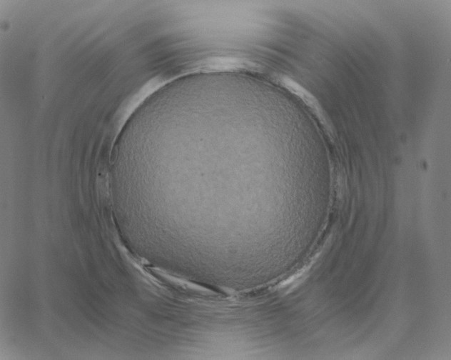 X0000062621473200601181642