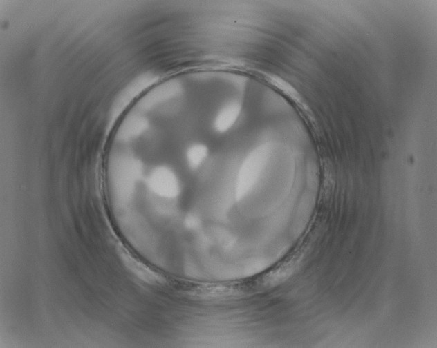 X0000062621474200601181642