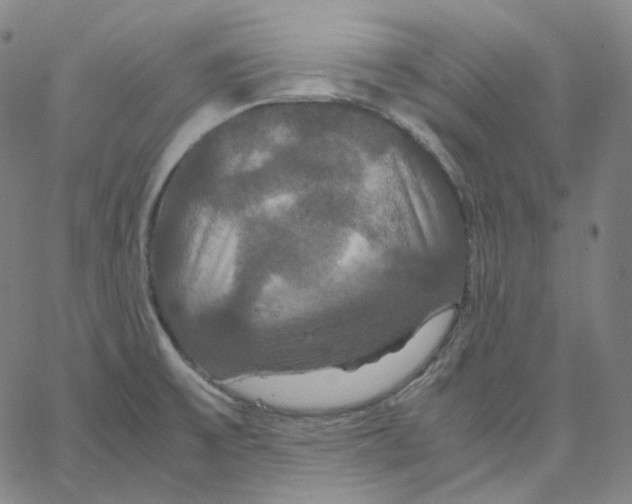 X0000062621475200601181642