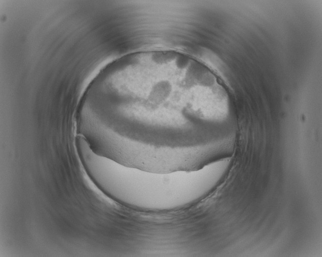 X0000062621476200601181642